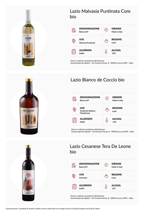 Wine Box Tenimenti Leone Experience Bio