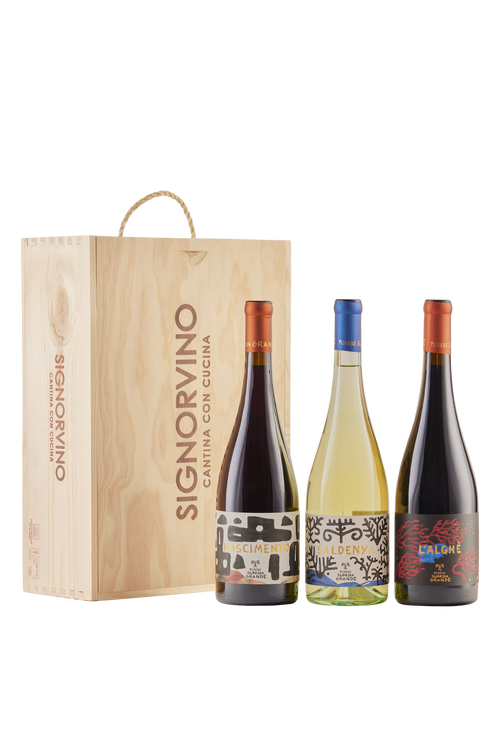 Wine Box Podere Guardia Grande