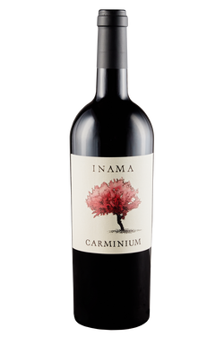 Colli Berici Carmenere Carminium