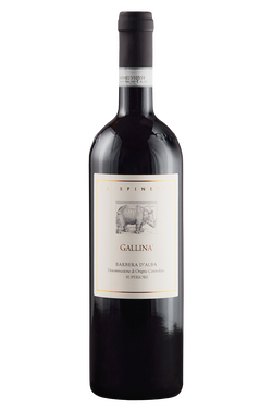 Barbera d'Alba Gallina bio