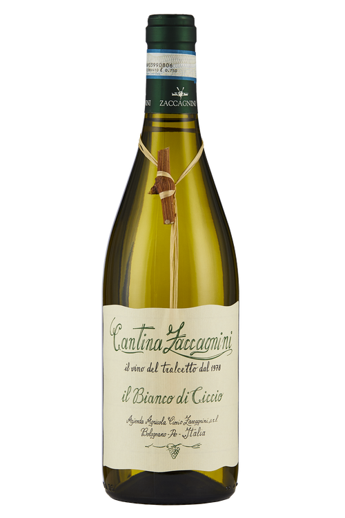 Colline Pescaresi Trebbiano Il Bianco di Ciccio