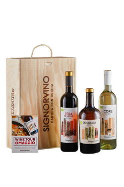 Wine Box Tenimenti Leone Experience bio