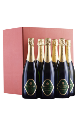 Box of 6 bottles bottiglie Trento Brut