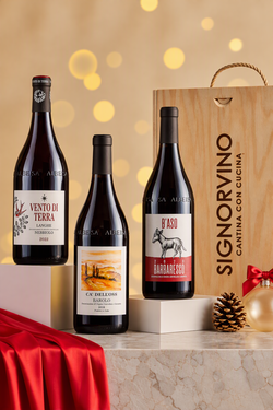 Wine Box Le Langhe