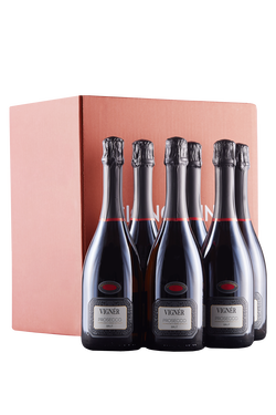 Confezione 6 bottiglie Prosecco Brut Vignér