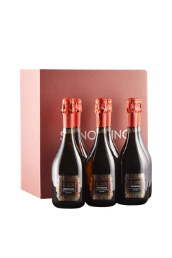 Confezione 6 bottiglie Prosecco Extra Dry El Si&ograve;r