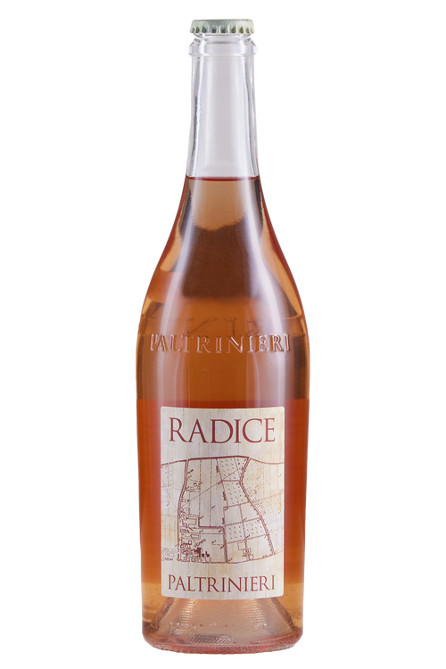 Lambrusco di Sorbara Radice
