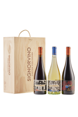 Wine Box Podere Guardia Grande