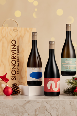 Wine Box Tenimenti Leone Bio