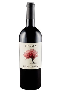Colli Berici Carmenere Carminium