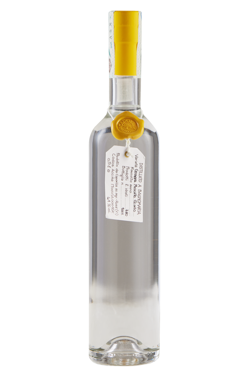 Grappa di Moscato Giallo