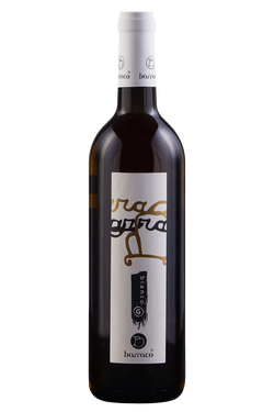 Terre Siciliane Grillo Bio