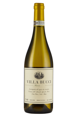 Verdicchio dei Castelli di Jesi Classico Riserva bio