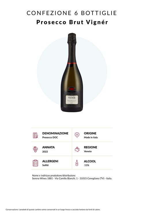 Confezione 6 bottiglie Prosecco Brut Vign&eacute;r