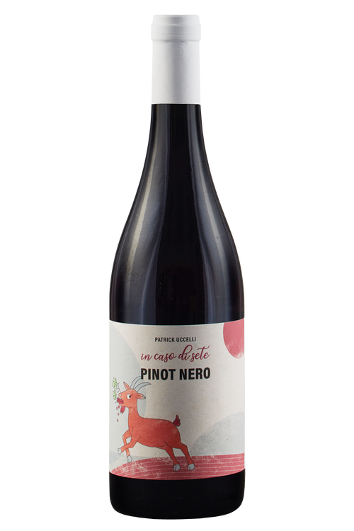Vigneti delle Dolomiti Pinot Nero In Caso di Sete bio