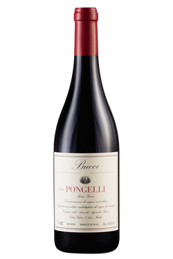 Rosso Piceno Tenuta Pongelli Bio