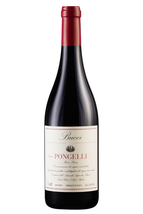 Rosso Piceno Tenuta Pongelli Bio