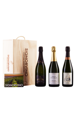 Wine Box Speciale Champagne