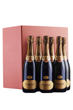 Confezione 6 bottiglie Trento Brut Perlè