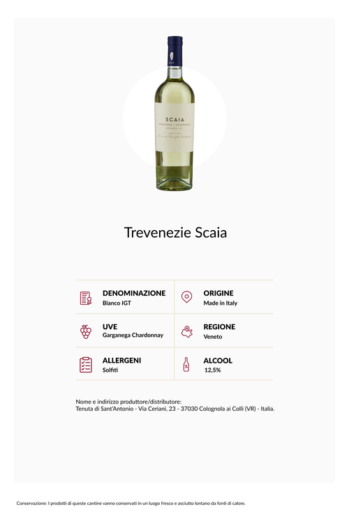 Confezione 6 bottiglie Trevenezie Scaia