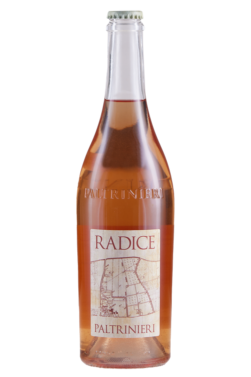 Lambrusco di Sorbara Radice