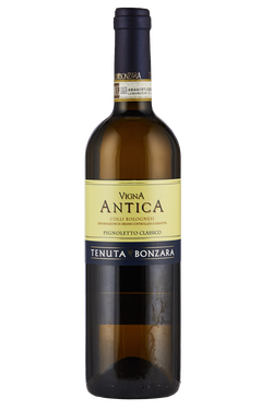 Colli Bolognesi Classico Pignoletto Vigna Antica