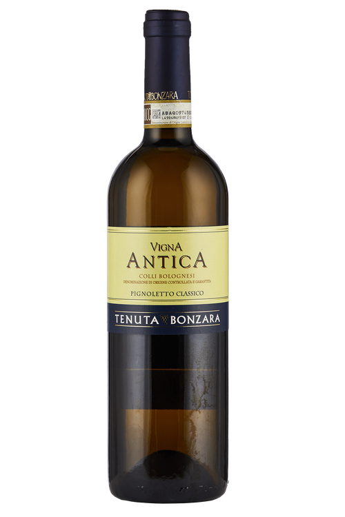 Colli Bolognesi Classico Pignoletto Vigna Antica