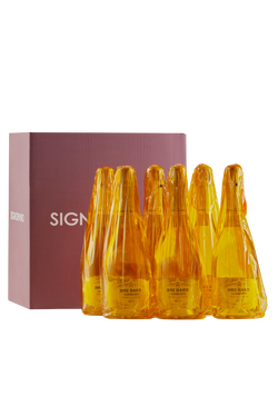 Confezione 6 bottiglie Prosecco Valdobbiadene Superiore Brut Doge Bianco Velina
