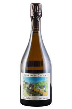 Champagne Brut Nature Blanc De Chardonnay Bio