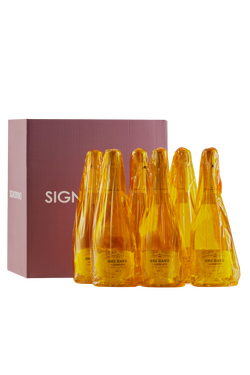 Confezione 6 bottiglie Prosecco Valdobbiadene Superiore Brut Doge Bianco Velina