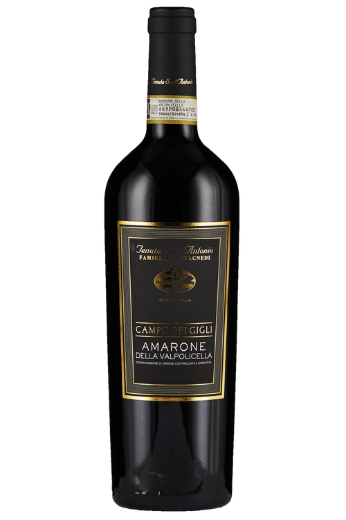 Amarone della Valpolicella Campo dei Gigli