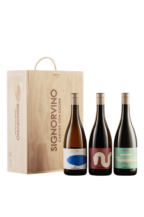 Wine Box Tenimenti Leone Bio