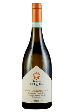 Verdicchio dei Castelli di Jesi Classico Superiore Vigneto del Balluccio bio