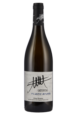 Etna Bianco Piante Sparse