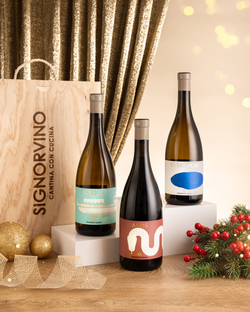 Wine Box Tenimenti Leone Bio