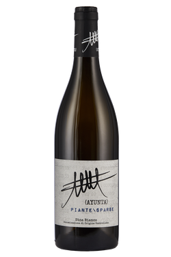 Etna Bianco Piante Sparse