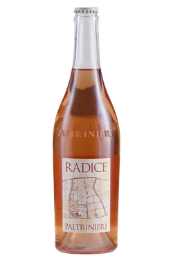 Lambrusco di Sorbara Radice