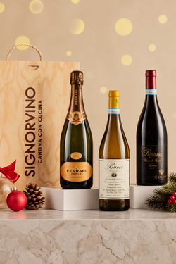 Wine Box Vai Sul Sicuro Bio