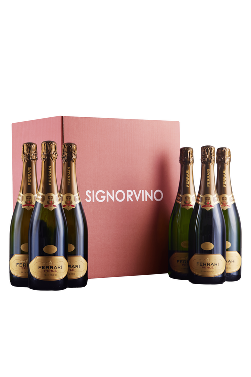Confezione 6 bottiglie Trento Brut Perlè