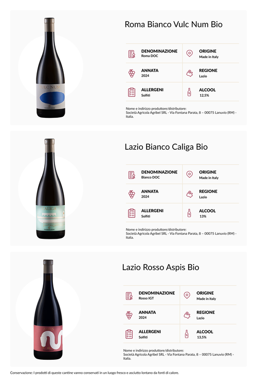 Wine Box Tenimenti Leone Bio