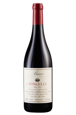 Rosso Piceno Tenuta Pongelli Bio