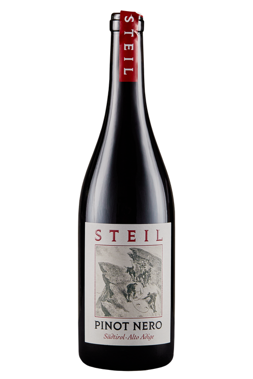Alto Adige Pinot Nero Steil