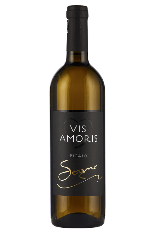 Riviera Ligure di Ponente Pigato Superiore bio