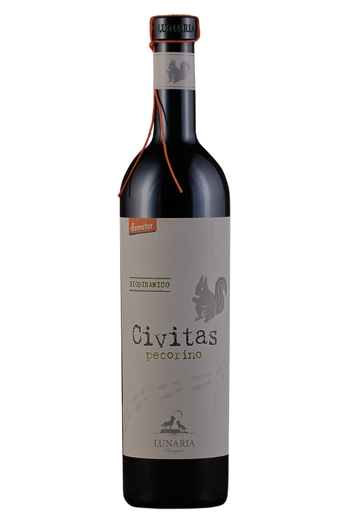 Terre d'Abruzzo Pecorino Civitas Bio