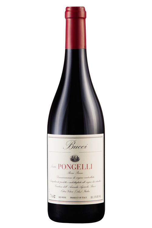 Rosso Piceno Tenuta Pongelli Bio