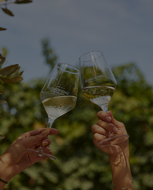 sparkling wines to discover