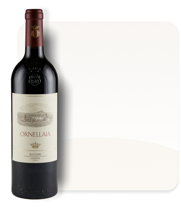 Signorvino