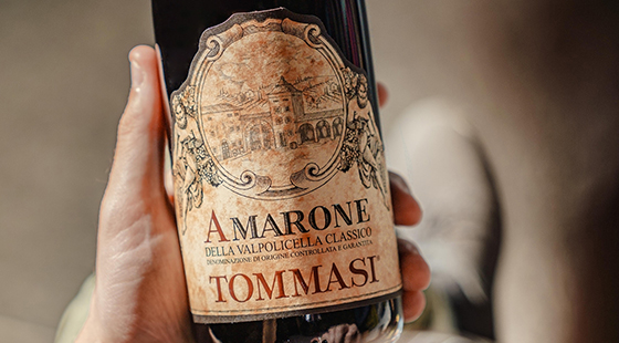 Cena con degustazione: Tommasi