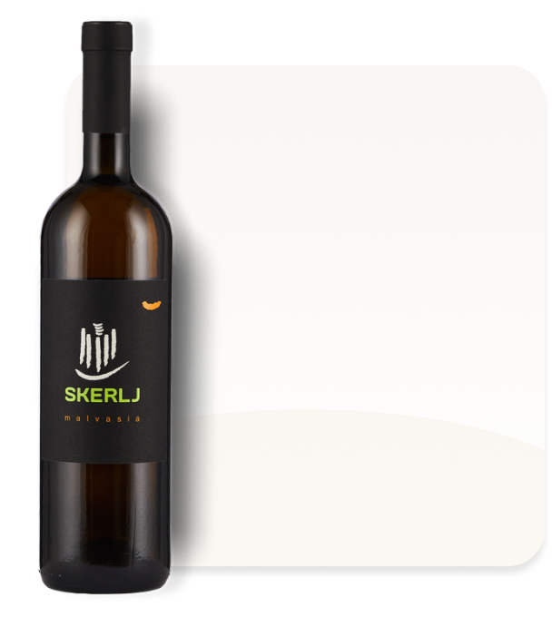Signorvino