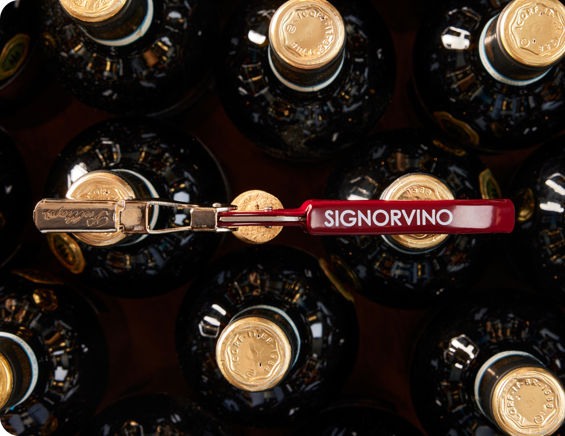 Signorvino